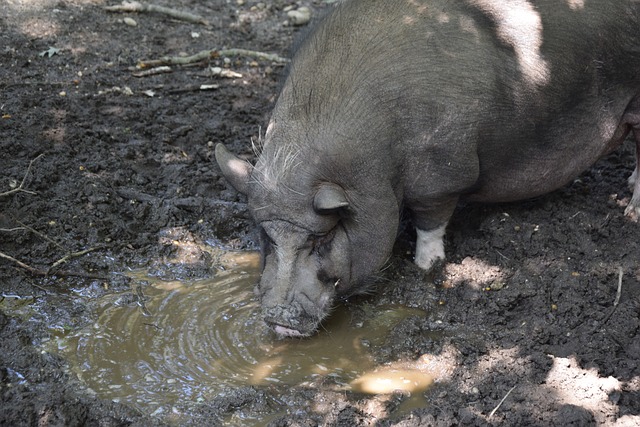 似乎正逐渐 似乎正逐渐