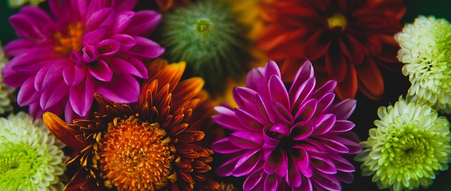 横滨FC即 横滨FC即