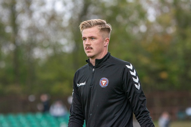 术风格的适 术风格的适