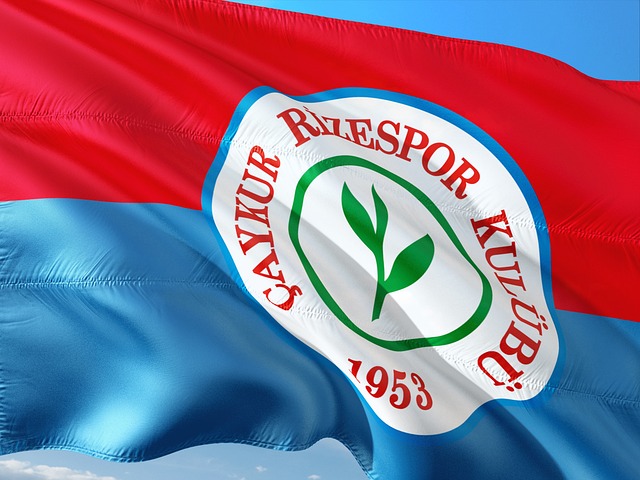 仅用12秒，公牛引爆联盟，6号秀一锤定音，詹姆斯真尽力了.