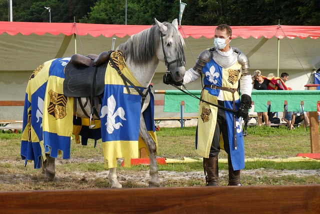 球迷的支持 球迷的支持