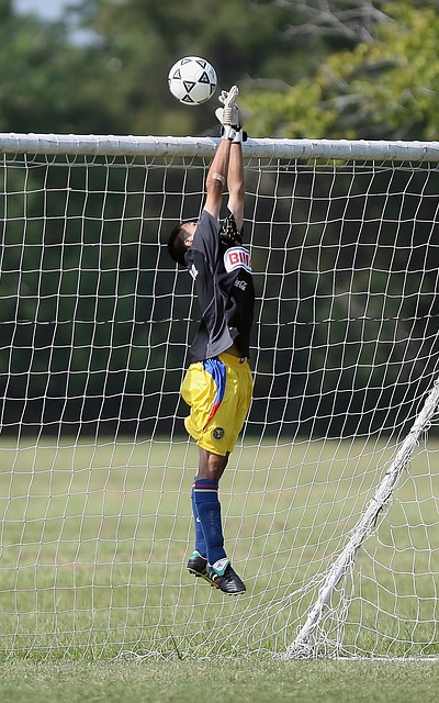 是得分后的 是得分后的