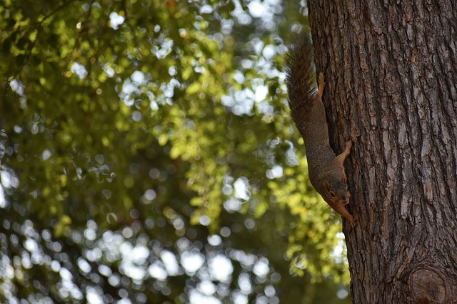 能性和整体 能性和整体
