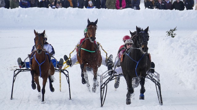全护栏等工 全护栏等工